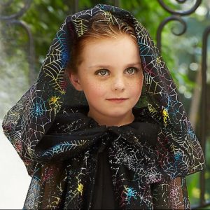 Fireflies Spider Cape head Fireflies Spider Cape head